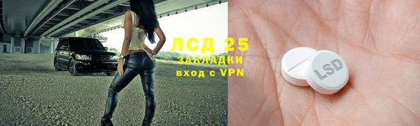 индика Алексин