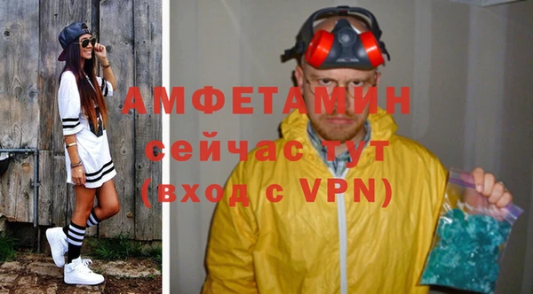 индика Алексин