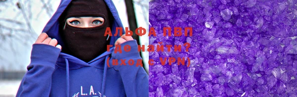 индика Алексин