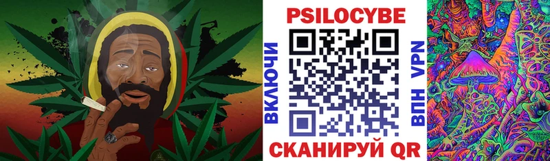 Псилоцибиновые грибы Psilocybe Жирновск